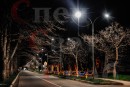 Ограждение "Занавес со звездами" 4 х 0,8 м Триколор нити золотой