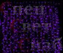 Гирлянда "занавес" 2 x 6 м Фиолетовый СПП-система последовательного подключения